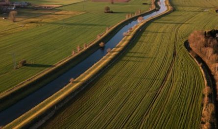 19 Significados de Soñar con Tierras de Cultivo
