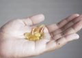 21 Significados de Soñar con Suplementos Nutricionales