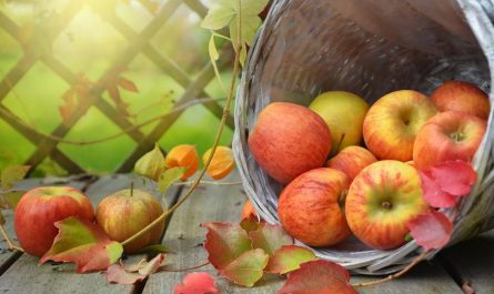 16 Significados de Soñar con Manzanas