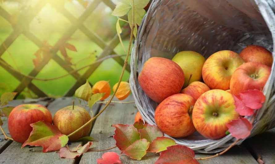 16 Significados de Soñar con Manzanas