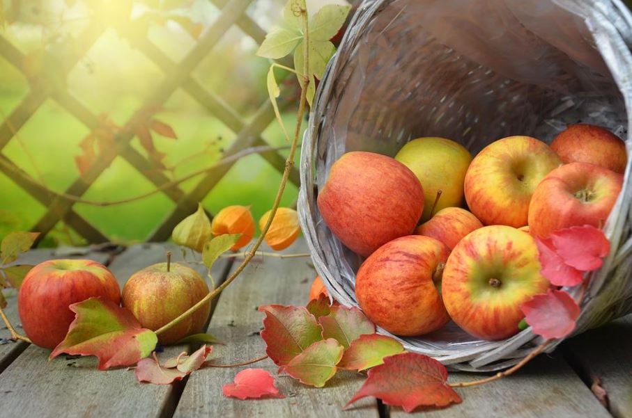 16 Significados de Soñar con Manzanas