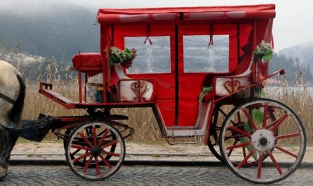 15 Significados de Soñar con un Carruaje Tirado por Caballos