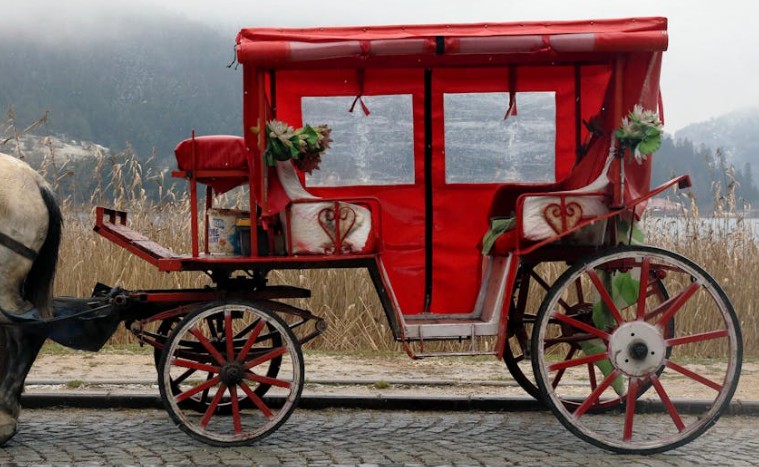 15 Significados de Soñar con un Carruaje Tirado por Caballos