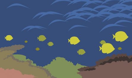 8 Significados de Soñar con un Banco de Peces