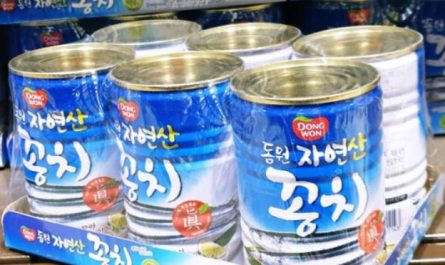 6 Significados de Soñar con Saury