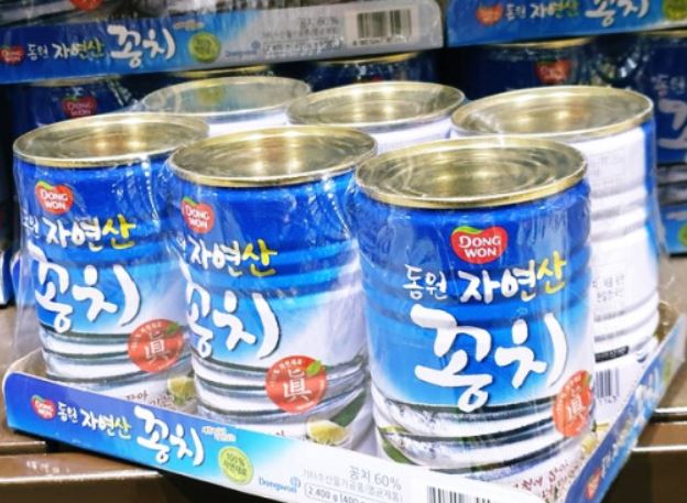 6 Significados de Soñar con Saury