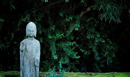 20 Significados de Soñar con Estatuas de Buda