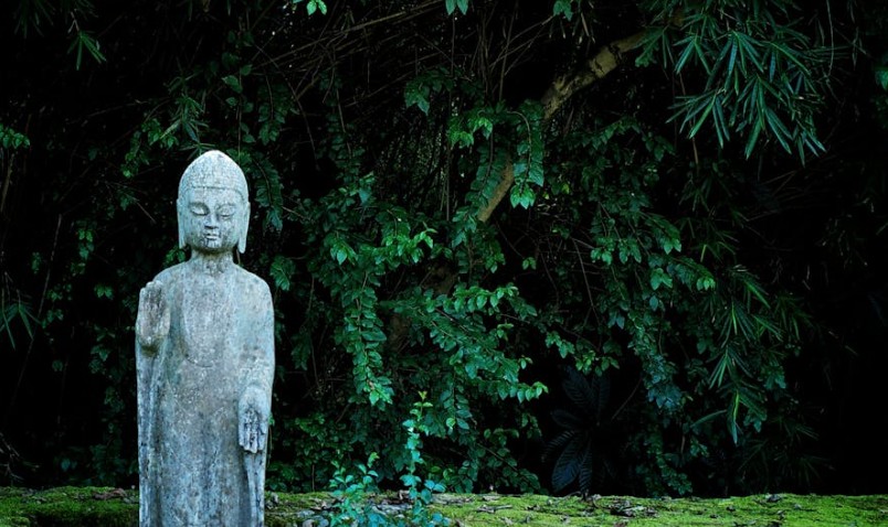 20 Significados de Soñar con Estatuas de Buda