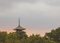 20 Significados de Soñar con una Torre