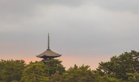 20 Significados de Soñar con una Torre