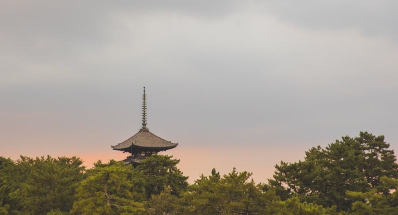 20 Significados de Soñar con una Torre