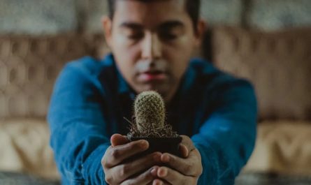 20 Significados de Soñar con un Sacrificio
