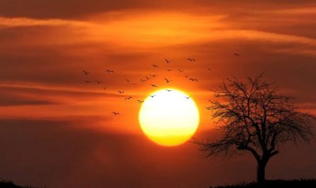 20 Significados de Soñar con Ver el Amanecer