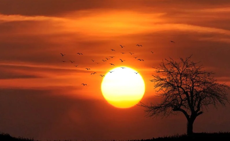 20 Significados de Soñar con Ver el Amanecer