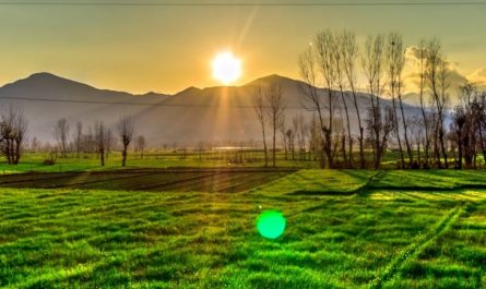 15 Significados de Soñar con Fotos de Amaneceres