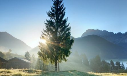 ¿Qué significa soñar con la mañana?