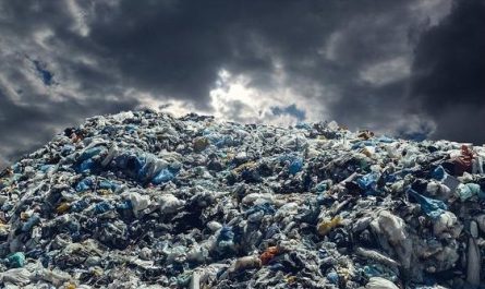¿Qué significa soñar con basura?