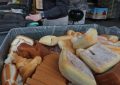 ¿Qué significa soñar con desperdicios de comida?